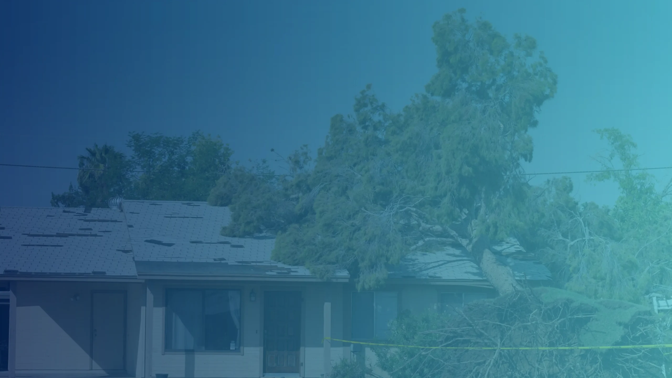 Storm Damage Kirkland